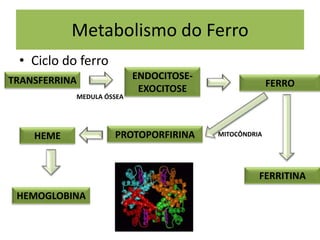 Metabolismo do Ferro
• Ciclo do ferro
TRANSFERRINA FERRO
FERRITINA
PROTOPORFIRINA
ENDOCITOSE-
EXOCITOSE
MEDULA ÓSSEA
HEMOGLOBINA
HEME MITOCÔNDRIA
 