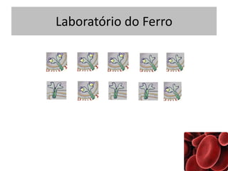 Laboratório do Ferro
 