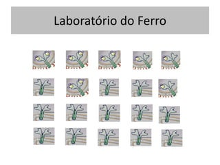 Laboratório do Ferro
 