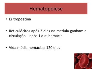 Hematopoiese
• Eritropoetina
• Reticulócitos após 3 dias na medula ganham a
circulação – após 1 dia: hemácia
• Vida média hemácias: 120 dias
 