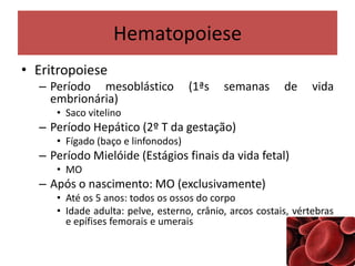 Hematopoiese
• Eritropoiese
– Período mesoblástico (1ªs semanas de vida
embrionária)
• Saco vitelino
– Período Hepático (2º T da gestação)
• Fígado (baço e linfonodos)
– Período Mielóide (Estágios finais da vida fetal)
• MO
– Após o nascimento: MO (exclusivamente)
• Até os 5 anos: todos os ossos do corpo
• Idade adulta: pelve, esterno, crânio, arcos costais, vértebras
e epífises femorais e umerais
 