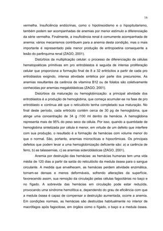 16

vermelha. Insuficiência endócrinas, como o hipotireoidismo e o hipopituitarismo,
também podem ser acompanhadas de anemias por menor estímulo a diferenciação
da série vermelha. Finalmente, a insuficiência renal é comumente acompanhada de
anemia; vários mecanismos contribuem para a anemia desta condição, mas o mais
importante é representado pela menor produção de eritropoetina consequente a
lesão do parênquima renal (ZAGO, 2001).
       Distúrbios da multiplicação celular: o processo de diferenciação de células
hematopoéticas primitivas em pro eritroblastos é seguida de intensa proliferação
celular que proporciona a formação final de 8 a 32 eritrócitos a partir de cada pro
eritroblastos exigindo, intensa atividade sintética por parte dos precursores. As
anemias resultantes da carência de vitamina B12 ou de folatos são coletivamente
conhecidas por anemias megaloblásticas (ZAGO, 2001).
       Distúrbios da maturação ou hemoglobinização: a principal atividade dos
eritroblastos é a produção de hemoglobina, que começa acumular-se na fase de pro
eritroblasto e continua até que o reticulócito tenha completado sua maturação. No
final deste período, cada eritrócito contém cerca de 30 pg de hemoglobina, que
atinge uma concentração de 34 g /100 ml dentro da hemácia. A hemoglobina
representa mais de 95% do peso seco da célula. Por isso, quando a quantidade de
hemoglobina sintetizada por célula é menor, em virtude de um defeito que interfere
com sua produção, o resultado é a formação de hemácias com volume menor do
que o normal. São, portanto, anemias microcíticas e hipocrômicas. Os principais
defeitos que podem levar a uma hemoglobinização deficiente são: a) a carência de
ferro, b) as talassemias, c) as anemias sideroblásticas (ZAGO, 2001).
       Anemia por destruição das hemácias: as hemácias humanas tem uma vida
média de 120 dias a partir da saída do reticulócito da medula óssea para o sangue
circulante. A medida que envelhecem, as hemácias perdem atividade enzimática,
tornam-se densas e menos deformáveis, sofrendo alterações da superfície,
favorecendo assim, sua remoção da circulação pelas células fagocitárias no baço e
no fígado. A sobrevida das hemácias em circulação pode estar reduzida,
provocando uma síndrome hemolítica e, dependendo do grau de eficiência com que
a medula óssea é capaz de compensar a destruição aumentada, ocorre a anemia.
Em condições normais, as hemácias são destruídas habitualmente no interior de
macrófagos após fagocitose, em órgãos como o fígado, o baço e a medula óssea.
 