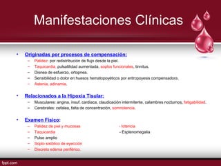 Manifestaciones Clínicas 
• Originadas por procesos de compensación: 
– Palidez: por redistribución de flujo desde la piel. 
– Taquicardia, pulsatilidad aumentada, soplos funcionales, tinnitus. 
– Disnea de esfuerzo, ortopnea. 
– Sensibilidad o dolor en huesos hematopoyéticos por eritropoyesis compensadora. 
– Astenia, adinamia. 
• Relacionados a la Hipoxia Tisular: 
– Musculares: angina, insuf. cardiaca, claudicación intermitente, calambres nocturnos, fatigabilidad. 
– Cerebrales: cefalea, falta de concentración, somnolencia. 
• Examen Físico: 
– Palidez de piel y mucosas - Ictericia 
– Taquicardia - Esplenomegalia 
– Pulso amplio 
– Soplo sistólico de eyección 
– Discreto edema periférico. 
 