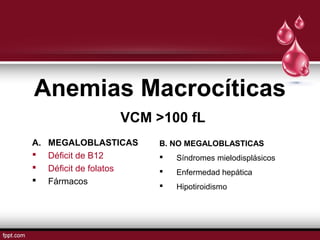Anemias Macrocíticas 
VCM >100 fL 
A. MEGALOBLASTICAS 
 Déficit de B12 
 Déficit de folatos 
 Fármacos 
B. NO MEGALOBLASTICAS 
 Síndromes mielodisplásicos 
 Enfermedad hepática 
 Hipotiroidismo 
 