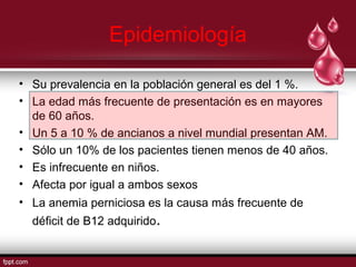 Epidemiología 
• Su prevalencia en la población general es del 1 %. 
• La edad más frecuente de presentación es en mayores 
de 60 años. 
• Un 5 a 10 % de ancianos a nivel mundial presentan AM. 
• Sólo un 10% de los pacientes tienen menos de 40 años. 
• Es infrecuente en niños. 
• Afecta por igual a ambos sexos 
• La anemia perniciosa es la causa más frecuente de 
déficit de B12 adquirido. 
 