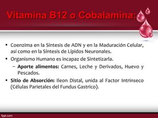 VViittaammiinnaa BB1122 oo CCoobbaallaammiinnaa:: 
• Coenzima en la Síntesis de ADN y en la Maduración Celular, 
así como en la Síntesis de Lípidos Neuronales. 
• Organismo Humano es incapaz de Sintetizarla. 
– Aporte alimentos: Carnes, Leche y Derivados, Huevo y 
Pescados. 
• Sitio de Absorción: Ileon Distal, unida al Factor Intrinseco 
(Células Parietales del Fundus Gastrico). 
 