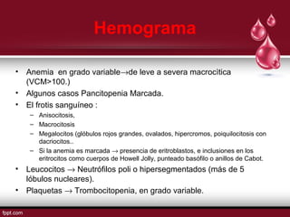Hemograma 
• Anemia en grado variable®de leve a severa macrocìtica 
(VCM>100.) 
• Algunos casos Pancitopenia Marcada. 
• El frotis sanguíneo : 
– Anisocitosis, 
– Macrocitosis 
– Megalocitos (glóbulos rojos grandes, ovalados, hipercromos, poiquilocitosis con 
dacriocitos.. 
– Si la anemia es marcada ® presencia de eritroblastos, e inclusiones en los 
eritrocitos como cuerpos de Howell Jolly, punteado basófilo o anillos de Cabot. 
• Leucocitos ® Neutrófilos poli o hipersegmentados (más de 5 
lóbulos nucleares). 
• Plaquetas ® Trombocitopenia, en grado variable. 
 