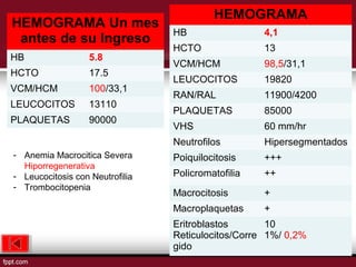HEMOGRAMA Un mes 
antes de su Ingreso 
HB 5.8 
HCTO 17.5 
VCM/HCM 100/33,1 
LEUCOCITOS 13110 
PLAQUETAS 90000 
HEMOGRAMA 
HB 4,1 
HCTO 13 
VCM/HCM 98,5/31,1 
LEUCOCITOS 19820 
RAN/RAL 11900/4200 
PLAQUETAS 85000 
VHS 60 mm/hr 
Neutrofilos Hipersegmentados 
Poiquilocitosis +++ 
Policromatofilia ++ 
Macrocitosis + 
Macroplaquetas + 
Eritroblastos 
10 
Reticulocitos/Corre 
1%/ 0,2% 
gido 
- Anemia Macrocitica Severa 
Hiporregenerativa 
- Leucocitosis con Neutrofilia 
- Trombocitopenia 
