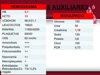 HEMEOXGÁRAMMEANES AUXILIARES 
HB 4,1 
HCTO 13 
VCM/HCM 98,5/31,1 
LEUCOCITOS 19820 
RAN/RAL 11900/4200 
PLAQUETAS 85000 
VHS 60 mm/hr 
Anisocitosis +++ 
Poiquilocitosis +++ 
Policromatofilia ++ 
Hipocromía ++ 
Macroplaquetas + 
Eritroblastos 
10 
Reticulocitos/Co 
1%/ 0,2% 
rregido 
BIOQUÍMICO 
Glucosa 150 
Urea 50 
Creatinina 1,19 
Sodio 139 
Potasio 3,6 
Cloro 100 
PCR 0,73 
 