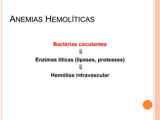 ANEMIAS HEMOLÍTICAS

           Bactérias circulantes
                        
     Enzimas líticas (lipases, proteases)
                        
          Hemólise intravascular
 