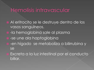  Al eritrocito se le destruye dentro de los
  vasos sanguíneos.
 -la hemoglobina sale al plasma
 -se une ala haptoglobina
 -en hígado se metaboliza a bilirrubina y
  se
 Excreta a la luz intestinal por el conducto
  biliar.
 