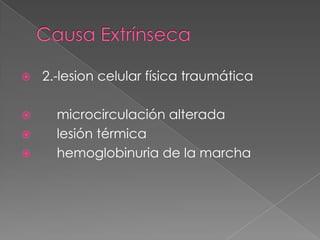    2.-lesion celular física traumática

     microcirculación alterada
     lesión térmica
     hemoglobinuria de la marcha
 