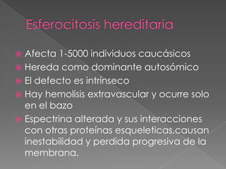  Afecta 1-5000 individuos caucásicos
 Hereda como dominante autosómico
 El defecto es intrínseco
 Hay hemolisis extravascular y ocurre solo
  en el bazo
 Espectrina alterada y sus interacciones
  con otras proteínas esqueleticas,causan
  inestabilidad y perdida progresiva de la
  membrana.
 