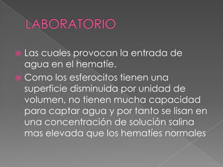  Las cuales provocan la entrada de
  agua en el hematíe.
 Como los esferocitos tienen una
  superficie disminuida por unidad de
  volumen, no tienen mucha capacidad
  para captar agua y por tanto se lisan en
  una concentración de solución salina
  mas elevada que los hematíes normales
 