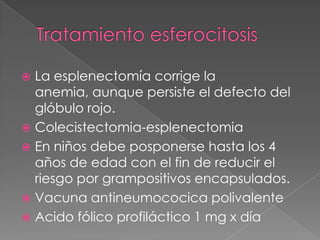  La esplenectomía corrige la
  anemia, aunque persiste el defecto del
  glóbulo rojo.
 Colecistectomia-esplenectomia
 En niños debe posponerse hasta los 4
  años de edad con el fin de reducir el
  riesgo por grampositivos encapsulados.
 Vacuna antineumococica polivalente
 Acido fólico profiláctico 1 mg x día
 