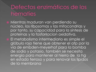  Mientras maduran van perdiendo su
  núcleo, los ribosomas y las mitocondrias y
  por tanto, su capacidad para la síntesis de
  proteínas y la fosforilacion oxidativa.
 El metabolismo intermediario es simple el
  glóbulo rojo tiene que obtener el atp por la
  vía de embden-meyerhof para la bomba
  de sodio y potasio, también se necesita
  energía para mantener al hierro de la hg
  en estado ferroso y para renovar los lípidos
  de la membrana
 
