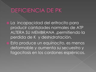  La incapacidad del eritrocito para
  producir cantidades normales de ATP
  ALTERA SU MEMBRANA ,permitiendo la
  perdida de K y deshidratación.
 Esto produce un equinocito, es menos
  deformable y aumenta su secuestro y
  fagocitosis en los cordones esplénicos.
 