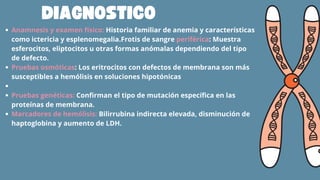 DIAGNOSTICO
Anamnesis y examen físico: Historia familiar de anemia y características
como ictericia y esplenomegalia.Frotis de sangre periférica: Muestra
esferocitos, eliptocitos u otras formas anómalas dependiendo del tipo
de defecto.
Pruebas osmóticas: Los eritrocitos con defectos de membrana son más
susceptibles a hemólisis en soluciones hipotónicas
Pruebas genéticas: Confirman el tipo de mutación específica en las
proteínas de membrana.
Marcadores de hemólisis: Bilirrubina indirecta elevada, disminución de
haptoglobina y aumento de LDH.
 