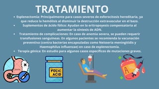 TRATAMIENTO
Esplenectomía: Principalmente para casos severos de esferocitosis hereditaria, ya
que reduce la hemólisis al disminuir la destrucción extravascular en el bazo.
Suplementos de ácido fólico: Ayudan en la eritropoyesis compensatoria al
aumentar la síntesis de ADN.
Tratamiento de complicaciones: En caso de anemia severa, se pueden requerir
transfusiones sanguíneas. En algunos pacientes se recomienda la vacunación
preventiva (contra bacterias encapsuladas como Neisseria meningitidis y
Haemophilus influenzae) en caso de esplenectomía.
Terapia génica: En estudio para algunos casos específicos de mutaciones graves.
 