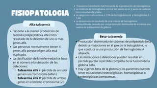 Transtorno hereditario más frecuente de la producción de hemoglobina.
La molécula de hemoglobina normal del adulto es en 2 pares de cadenas
denominadas alfa y beta.
La sangre normal contiene ≤ 2,5% de hemoglobina A2 y hemoglobina F <
1,4%
La talasemia es el resultado de una síntesis de hemoglobina
desequilibrada causada por una producción disminuida de al menos una
cadena de polipéptidos de globina
FISIOPATOLOGIA
Se debe a la menor producción de
cadenas polipeptídicas alfa como
resultado de la deleción de uno o más
genes alfa.
Las personas normalmente tienen 4
genes alfa porque el gen alfa está
duplicado.
La clasificación de la enfermedad se basa
en el número y la ubicación de las
deleciones:
Talasemia alfa +: pérdida de un solo
gen en un cromosoma (alfa/-)
Talasemia alfa 0: pérdida de ambos
genes en el mismo cromosoma (-/-)
Alfa-talasemia
Producción disminuida de cadenas de polipéptido beta
debido a mutaciones en el gen de la beta globina, lo
que conduce a una producción de hemoglobina A
alterada.
Las mutaciones o deleciones pueden resultar en
pérdida parcial o pérdida completa de la función de la
globina beta.
Hay 2 genes beta de la globina y los pacientes pueden
tener mutaciones heterocigóticas, homocigóticas o
heterocigóticas compuestas.
Beta-talasemia
 