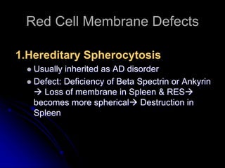 Red Cell Membrane Defects
1.Hereditary Spherocytosis
 Usually inherited as AD disorder
 Defect: Deficiency of Beta Spectrin or Ankyrin
 Loss of membrane in Spleen & RES
becomes more spherical Destruction in
Spleen
 