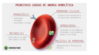 Anemia hemolitica 2