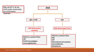 AHA
IgG +/-C3d C3d
AHA Anticuerpos
calientes
AHA Anticuerpos Fríos
Historia y examen físico
CAT
Perfil inmunológico.
Inmunoglobulinas.
Historia y examen físico
MO
CAT
Electroforesis de proteína
Inmunofijación.
Micoplasma
Más del 80 % de las
AHAI están producidas
por anticuerpos
calientes.
BLOOD, 16 SEPTEMBER 2010 VOLUME 116, NUMBER 11
 