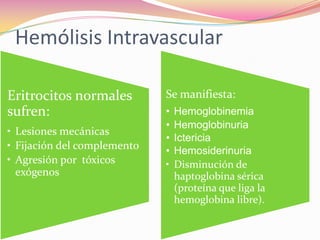 Hemólisis Intravascular
Eritrocitos normales
sufren:
• Lesiones mecánicas
• Fijación del complemento
• Agresión por tóxicos
exógenos
Se manifiesta:
• Hemoglobinemia
• Hemoglobinuria
• Ictericia
• Hemosiderinuria
• Disminución de
haptoglobina sérica
(proteína que liga la
hemoglobina libre).
 
