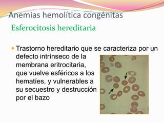 Anemias hemolítica congénitas
Esferocitosis hereditaria
 Trastorno hereditario que se caracteriza por un
defecto intrínseco de la
membrana eritrocitaria,
que vuelve esféricos a los
hematíes, y vulnerables a
su secuestro y destrucción
por el bazo
 