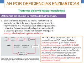 AH POR DEFICIENCIAS ENZIMÁTICAS
Trastornos de la vía hexosa-monofosfato
Deficiencia de glucosa-6-fosfato deshidrogenasa.
o Es la causa más frecuente de anemia hemolítica y se
transmite mediante herencia ligada al cromosoma X y
su prevalencia esta relacionada con áreas de paludismo
endémico. Esta enzima cataliza la primera reacción de
la vía de las pentosas fosfato y su función principal es
proteger el eritrocito de agentes oxidantes.
PATOGENÍA: La utilidad G6PD es la
generación de NADPH, cuya finalidad es
reducir el glutatión, que a su vez evita la
oxidación de los grupos sulfhidrilos de la Hb.
La oxidación de los grupos sulfhidrilos produce
metahemoglobina, que precipita en el interior
del hematíe ocasionando los denominados
cuerpos de Heinz, que ocasiona hemolisis
intravascular y extravascular por lesión de la
membrana del hematíe.
 