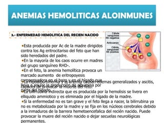 ANEMIAS HEMOLITICAS ALOINMUNES
3.- ENFERMEDAD HEMOLITICA DEL RECIEN NACIDO
Esta producida por Ac de la madre dirigidos
contra los Ag eritrocitariso del feto que han
sido heredados del padre.
En la mayoría de los caos ocurre en madres
del grupo sanguíneo RHD-.
En el feto, la anemia hemolítica provoca un
marcado aumento de eritropoyesis
compensadora en el bazo y en el hígado que
lleva a anular la producción de albumina por
parte del hígado.
La hipoalbuminemia y la anemia causan edemas generalizados y ascitis,
capaces de provocar la muerte del feto.
La bilirrubina indirecta que es producida por la hemolisis se livera en
elliquido ammiotico y es eliminada por el hígado de la madre.
Si la enfermedad no es tan grave y el feto llega a nacer, la bilirrubina ya
no es metabolizada por la madre y se fija en los núcleos cerebrales debido
a la inmaduros de la barrera hemetoencefalica del recién nacido. Puede
provocar la muere del recién nacido o dejar secuelas neurológicas
permanentes.
 