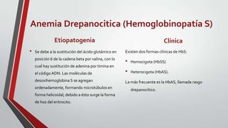 Anemia Drepanocitica (Hemoglobinopatía S)
               Etiopatogenia                                               Clínica
•   Se debe a la sustitución del ácido glutámico en   Existen dos formas clínicas de HbS:
    posición 6 de la cadena beta por valina, con lo
                                                      •   Homocigota (HbSS)
    cual hay sustitución de adenina por timina en
    el código ADN. Las moléculas de                   •   Heterocigota (HbAS).

    desoxihemoglobina S se agregan                    La más frecuente es la HbAS, llamada rasgo
    ordenadamente, formando microtúbulos en               drepanocítico.
    forma helicoidal; debido a ésto surge la forma
    de hoz del eritrocito.
 