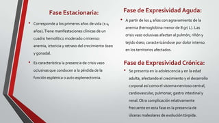 Fase Estacionaria:                            Fase de Expresividad Aguda:
                                                       •   A partir de los 4 años con agravamiento de la
•   Corresponde a los primeros años de vida (1-4
                                                           anemia (hemoglobina menor de 8 gr/ L). Las
    años). Tiene manifestaciones clínicas de un
                                                           crisis vaso oclusivas afectan al pulmón, riñón y
    cuadro hemolítico moderado o intenso:
                                                           tejido óseo; caracterizándose por dolor intenso
    anemia, ictericia y retraso del crecimiento óseo
                                                           en los territorios afectados.
    y gonadal.

•   Es característica la presencia de crisis vaso          Fase de Expresividad Crónica:
    oclusivas que conducen a la pérdida de la              •   Se presenta en la adolescencia y en la edad
    función esplénica o auto esplenectomia.                    adulta, afectando el crecimiento y el desarrollo
                                                               corporal así como el sistema nervioso central,
                                                               cardiovascular, pulmonar, gastro intestinal y
                                                               renal. Otra complicación relativamente
                                                               frecuente en esta fase es la presencia de
                                                               úlceras maleolares de evolución tórpida.
 