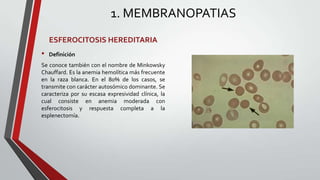 1. MEMBRANOPATIAS
    ESFEROCITOSIS HEREDITARIA
•   Definición
Se conoce también con el nombre de Minkowsky
Chauffard. Es la anemia hemolítica más frecuente
en la raza blanca. En el 80% de los casos, se
transmite con carácter autosómico dominante. Se
caracteriza por su escasa expresividad clínica, la
cual consiste en anemia moderada con
esferocitosis y respuesta completa a la
esplenectomía.
 