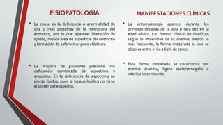 FISIOPATOLOGÍA                                    MANIFESTACIONES CLÍNICAS
•   La causa es la deficiencia o anormalidad de        •   La sintomatología aparece durante las
    una o más proteínas de la membrana del                 primeras décadas de la vida y rara vez en la
    eritrocito, por lo que aparece: liberación de          edad adulta. Las formas clínicas se clasifican
    lípidos, menor área de superficie del eritrocito       según la intensidad de la anemia, siendo la
    y formación de esferocitos poco elásticos.             más frecuente, la forma moderada la cual se
                                                           observa entre el 60 a 65% de casos.



•   La mayoría de pacientes presenta una
                                                       •   Esta forma moderada se caracteriza por
                                                           anemia discreta, ligera esplenomegalia e
    deficiencia combinada de espectrina y
                                                           icterícia intermitente.
    anquirina. En la deficiencia de espectrina se
    pierde lípidos, pues la bicapa lipídica no tiene
    el sostén del esqueleto.
 