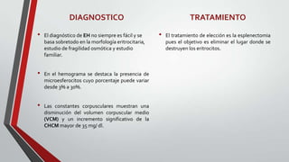 DIAGNOSTICO                                         TRATAMIENTO

•   El diagnóstico de EH no siempre es fácil y se    •   El tratamiento de elección es la esplenectomia
    basa sobretodo en la morfología eritrocitaria,       pues el objetivo es eliminar el lugar donde se
    estudio de fragilidad osmótica y estudio             destruyen los eritrocitos.
    familiar.


•   En el hemograma se destaca la presencia de
    microesferocitos cuyo porcentaje puede variar
    desde 3% a 30%.


•   Las constantes corpusculares muestran una
    disminución del volumen corpuscular medio
    (VCM) y un incremento significativo de la
    CHCM mayor de 35 mg/ dl.
 