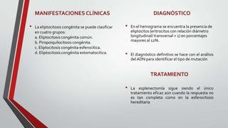 MANIFESTACIONES CLÍNICAS                                          DIAGNÓSTICO

•   La eliptocitosis congénita se puede clasificar   •   En el hemograma se encuentra la presencia de
    en cuatro grupos:                                    eliptocitos (eritrocitos con relación diámetro
    a. Eliptocitosis congénita común.                    longitudinal/ transversal > 1) en porcentajes
    b. Piropoiquilocitosis congénita.                    mayores al 12%.
    c. Eliptocitosis congénita esferocítica.
    d. Eliptocitosis congénita estomatocítica.       •   El diagnóstico definitivo se hace con el análisis
                                                         del ADN para identificar el tipo de mutación


                                                                    TRATAMIENTO

                                                     •   La esplenectomía sigue siendo el único
                                                         tratamiento eficaz aún cuando la respuesta no
                                                         es tan completa como en la esferocitosis
                                                         hereditaria
 