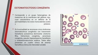 ESTOMATOCITOSIS CONGÉNITA

•   Corresponde a un grupo heterogéneo de
    trastornos de la membrana del glóbulo rojo,
    cuya característica es un defecto de la
    permeabilidad a los iones monovalentes (sodio
    y                                   potasio).

•   En la actualidad se reconocen cinco síndromes
    estomatocíticos congénitos con transmisión
    hereditaria autosómica dominante: síndrome
    Rh0, hidrocitosis congénita, xerocitosis
    congénita, pseudo hiperpotasemia hereditaria
    y ovaloestomatocitosis asiática. Todos ellos
    presentan un cuadro clínico de anemia
    hemolítica crónica de intensidad variable
 