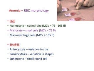 Anemia – RBC morphology
• SIZE
• Normocyte – normal size (MCV = 75 - 105 fl)
• Microcyte – small cells (MCV < 75 fl)
• Macrocye large cells (MCV > 105 fl)
• SHAPES
• Anisocytosis – variation in size
• Poikilocytosis – variation in shapes
• Spherocyte – small round cell
 