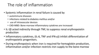 The role of inflammation
• Systemic inflammation in renal failure is caused by
• autoimmune diseases
• infections related to diabetes mellitus and/or
• use of intravascular devices
• CKD-MBD: Bone marrow inflammatory cytokines are increased
• IL-1β acted indirectly through TNF, to suppress renal erythropoietin
production
• Inflammatory cytokines, (IL-6, TNF and IFN-γ)) inhibit differentiation of
erythropoietic progenitors.
• During erythropoiesis when iron is required for hemoglobin production,
inflammation and/or infection restricts iron supply to the bone marrow
 