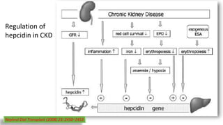 Regulation of
hepcidin in CKD
Nephrol Dial Transplant (2008) 23: 2450–2453
 