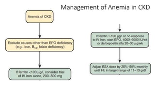 Management of Anemia in CKD
 