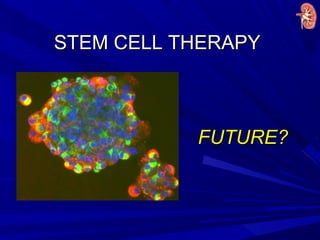 STEM CELL THERAPYSTEM CELL THERAPY
FUTURE?FUTURE?
 