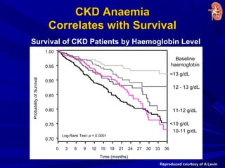 CKD AnaemiaCKD Anaemia
Correlates with SurvivalCorrelates with Survival
Survival of CKD Patients by Haemoglobin Level
Reproduced courtesy of A Levin
CKD Anaemia
Correlates With Survival
Time (months)
ProbabilityofSurvival
0 3 6 9 12 15 18 21 24 27 30 33 36
0.70
0.75
0.80
0.85
0.90
0.95
1.00
Baseline
haemoglobin
Log-Rank Test: p = 0.0001
=
12 - 13 g/dL
11-12 g/dL
10-11 g/dL
10 g/dL
13 g/dL
<
Survival of CKD Patients by Haemoglobin Level
Reproduced courtesy of A Levi
 