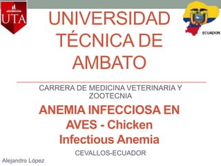 UNIVERSIDAD
TÉCNICA DE
AMBATO
CARRERA DE MEDICINA VETERINARIA Y
ZOOTECNIA
ANEMIA INFECCIOSA EN
AVES - Chicken
Infectious Anemia
CEVALLOS-ECUADOR
Alejandro López
 