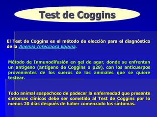ANEMIA INFECCIOSA EQUINA.ppt