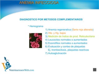 ANEMIA INFECCIOSA DIAGNOSTICO POR METODOS COMPLEMENTARIOS * Hemograma 1) Anemia regenerativa ( Serie roja alterada ) 2)  Hto. y Hg. bajos   3)  Medición de Indice de prod. Reticulocitaria 4) Leucocitos normales o aumentados 5) Eosinófilos normales o aumentados 6) Evaluación y conteo de plaquetas  Ej. trombocitosis, plaquetas reactivas 7) Autoaglutinación 