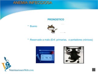 ANEMIA INFECCIOSA PRONOSTICO *  Bueno *  Reservado a malo (Enf. primarias,  o portadores crónicos) 