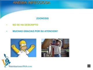 ANEMIA INFECCIOSA ZOONOSIS NO SE HA DESCRIPTO MUCHAS GRACIAS POR SU ATENCION!! 