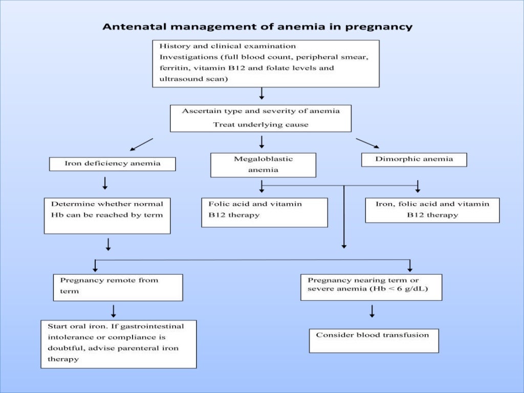 Anemia In Pregnancy Anemia In Pregnancy